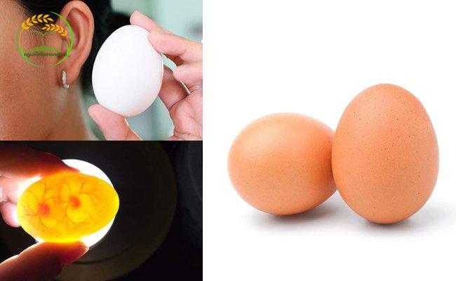 Một số cách nhận biết trứng gà có trống