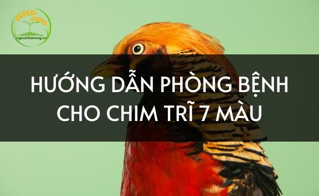 Các giống Chim Trĩ quý hiếm ở Việt Nam