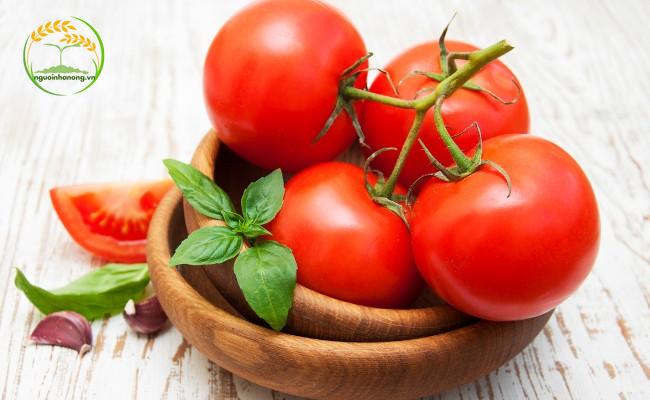 Tìm hiểu về đặc điểm của cà chua