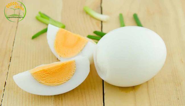 Ăn trứng luộc có béo không? Bật mí toàn bộ dinh dưỡng từ món ăn