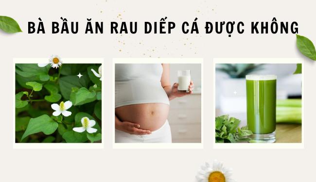 Bà bầu ăn rau diếp cá được không? Tác dụng của rau diếp cá là gì?