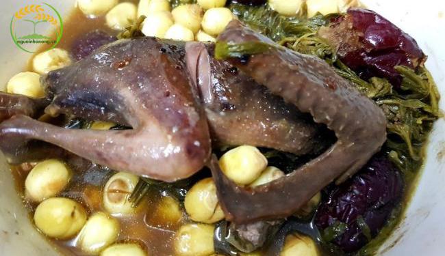 Cách nấu bồ câu hầm thuốc bắc giàu dinh dưỡng cho cơ thể