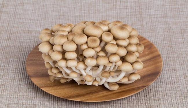 Nấm ngọc tẩm - Loại nấm ngon chứa cả kho tàng dinh dưỡng